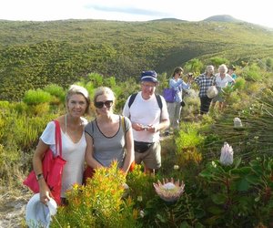 A Blooming good Autumn on The Trail